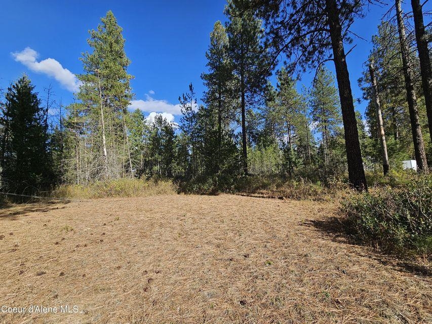 28990 North Miller Road Athol, ID 83801 - Photo 25 of 26