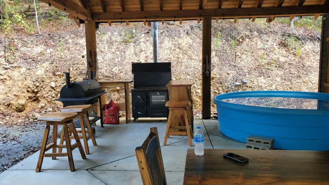 a view of a tree with some trees in front of it