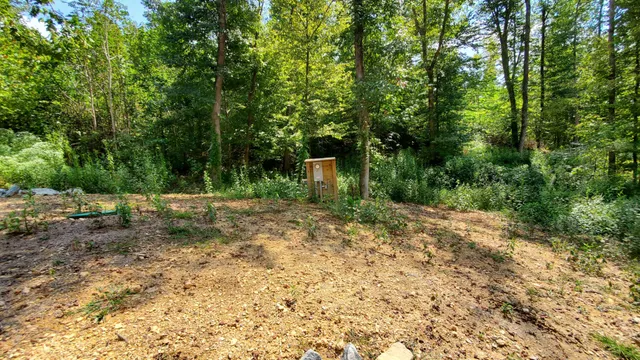 a view of a backyard with trees