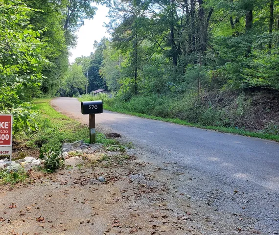 a view of a lake from a yard