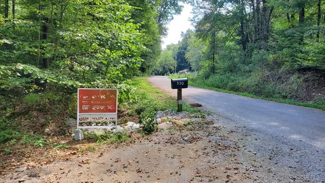 a view of a lake with a mountain in the background