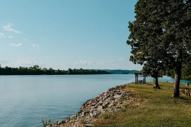 a view of a garden with an outdoor space