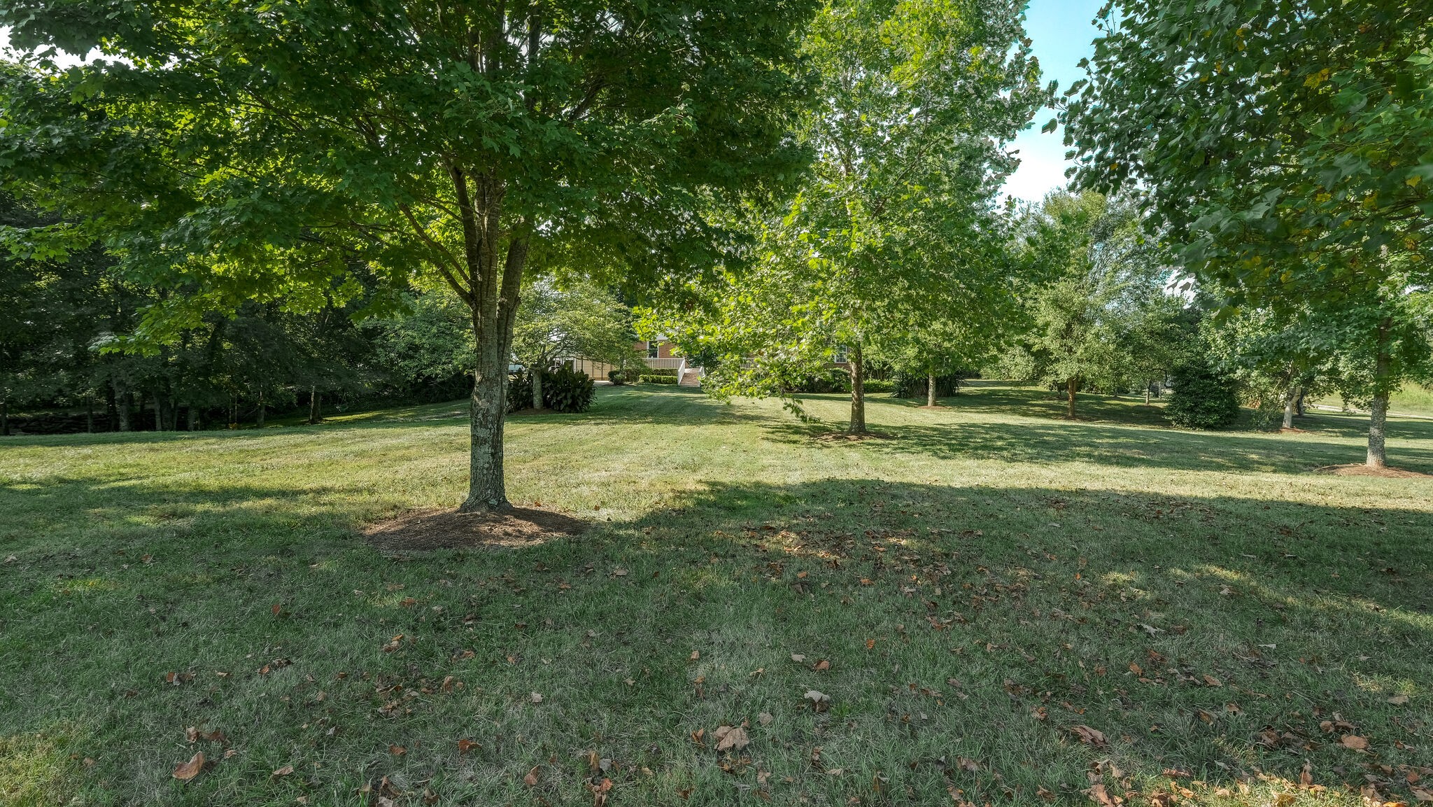 5233 Murfreesboro Road College Grove, TN 37046 - Photo 4 of 27 Gallery Image 4