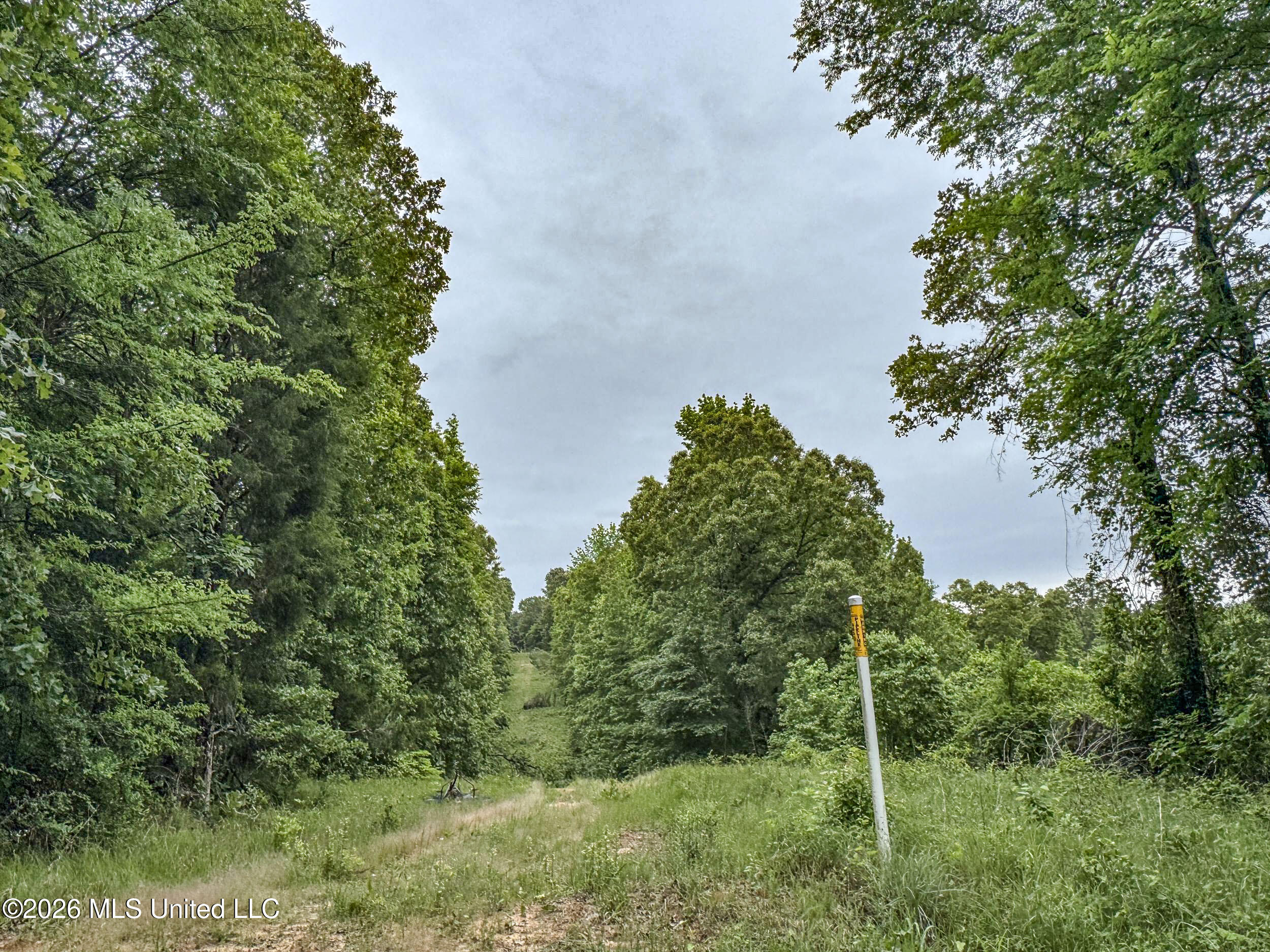 Wayne Massie Road Como, MS 38619 - Photo 121 of 184 5cdtbs58