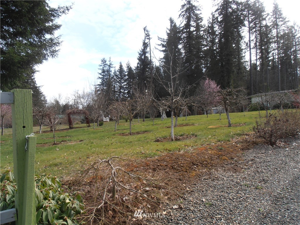 1850 Little Hanaford Road Centralia, WA 98531 - Photo 6 of 25 Gallery Image 6
