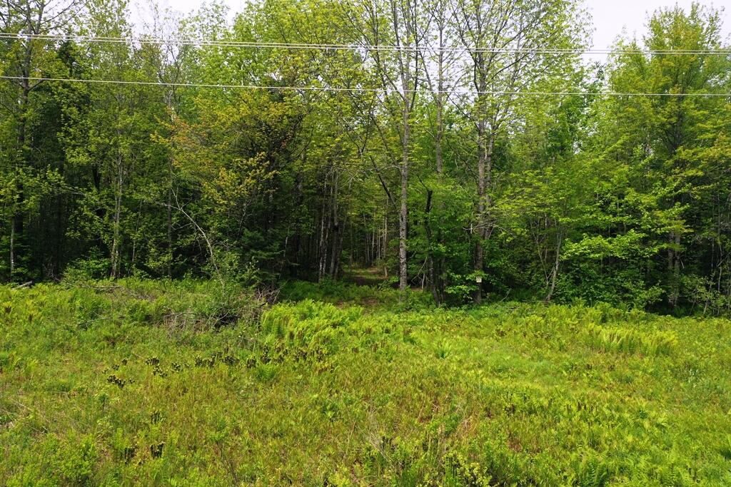 Tbd Tbd Off North Guilford Road Monson, ME 04464 - Photo 8 of 9 DJI_0424