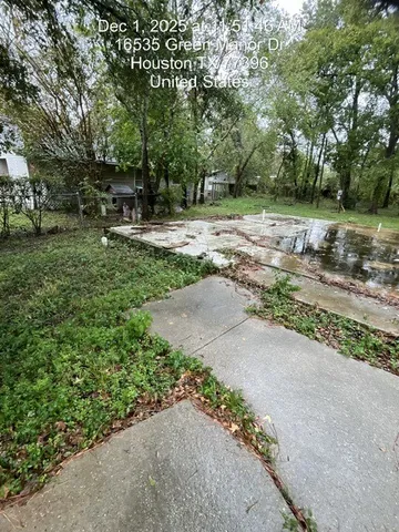 a view of a park with large trees