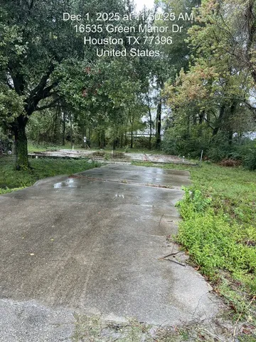 a view of a yard with a tree