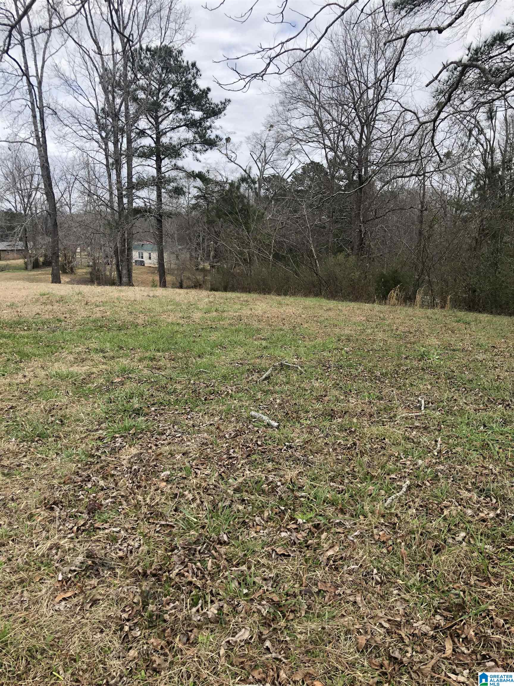 71 County Road Thorsby, AL 35171 - Photo 16 of 16