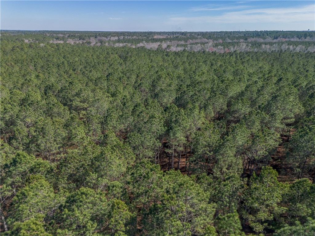 Lot 2 Ben Giddens Road Eastman, GA 31023 - Photo 3 of 10