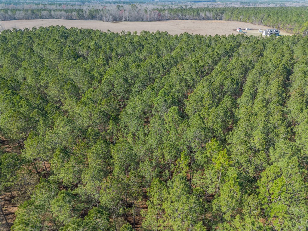 Lot 2 Ben Giddens Road Eastman, GA 31023 - Photo 4 of 10