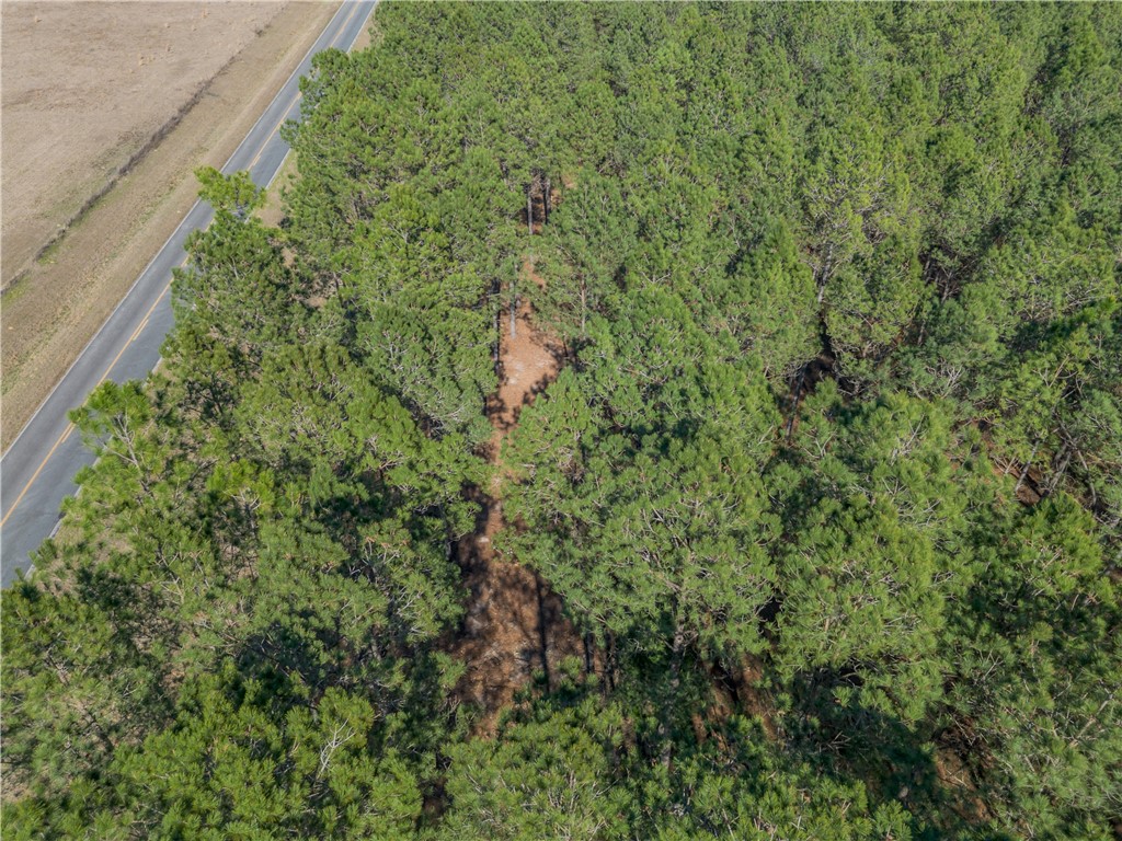 Lot 2 Ben Giddens Road Eastman, GA 31023 - Photo 6 of 10