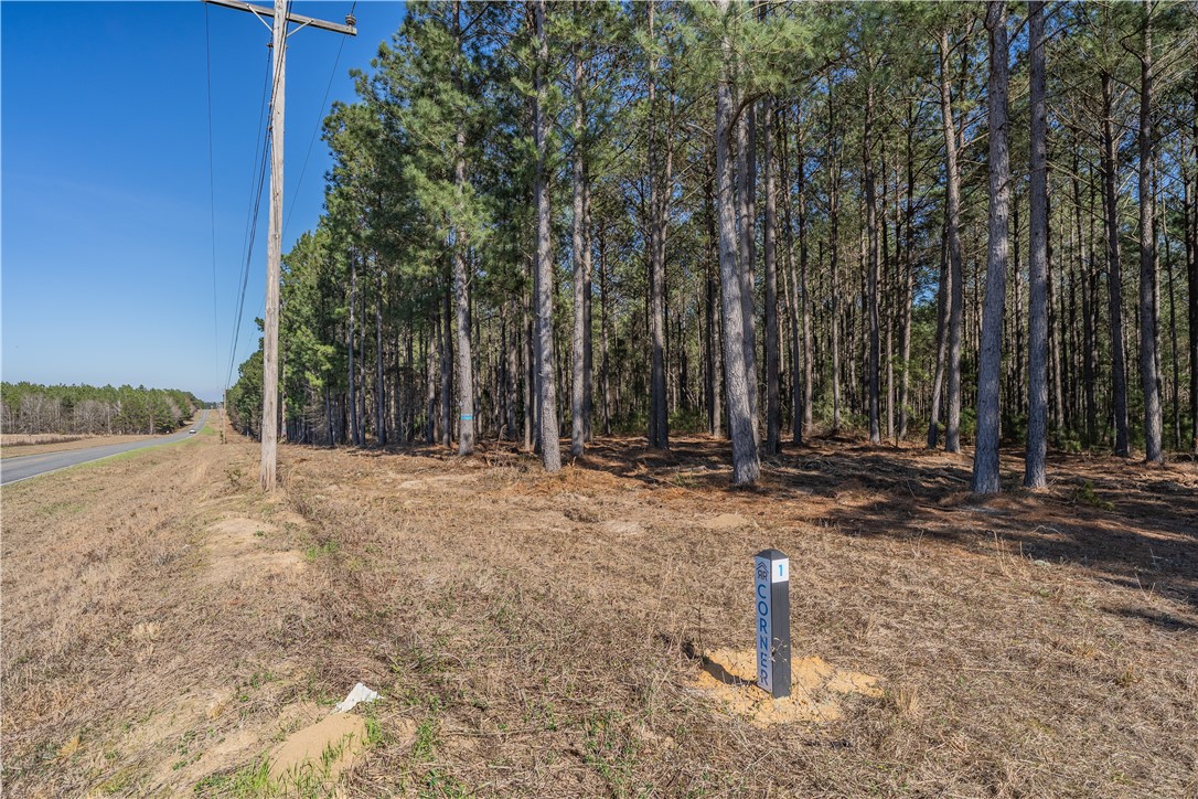 Lot 2 Ben Giddens Road Eastman, GA 31023 - Photo 7 of 10