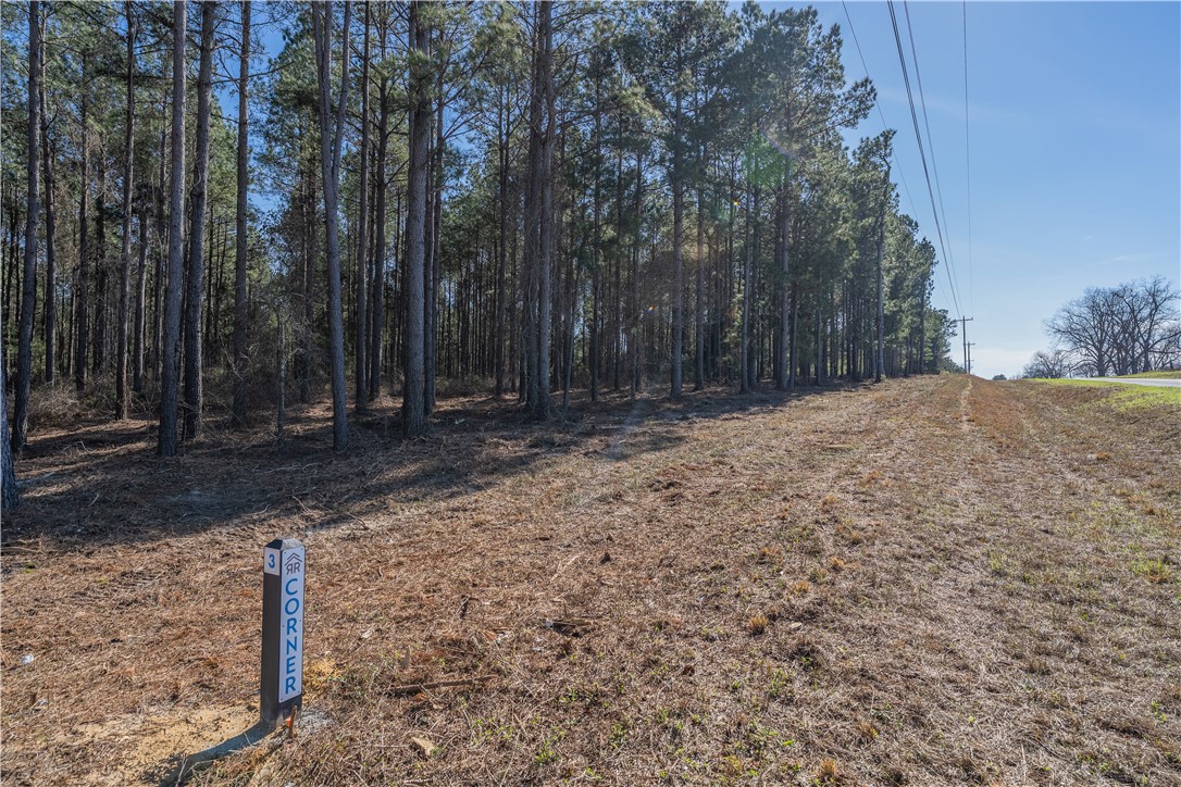 Lot 2 Ben Giddens Road Eastman, GA 31023 - Photo 8 of 10