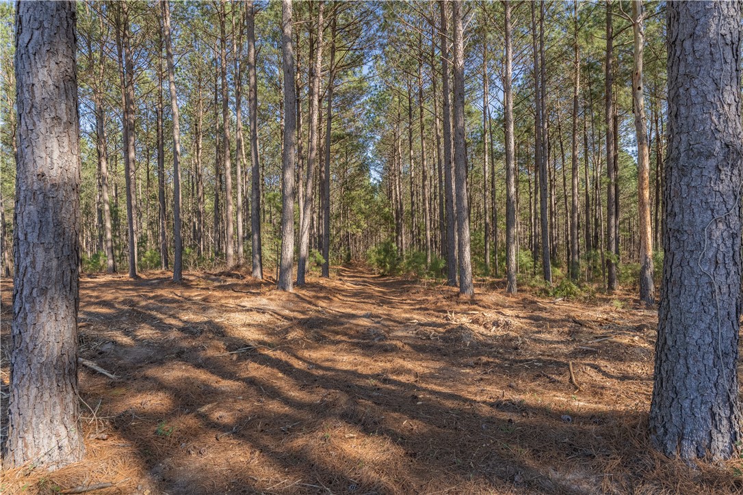 Lot 2 Ben Giddens Road Eastman, GA 31023 - Photo 9 of 10