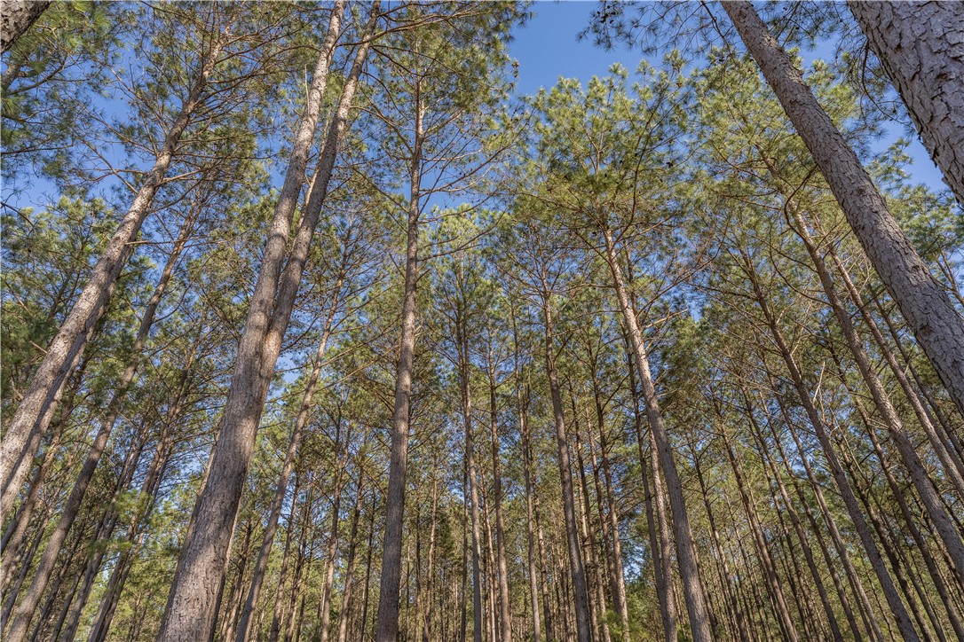 Lot 2 Ben Giddens Road Eastman, GA 31023 - Photo 10 of 10