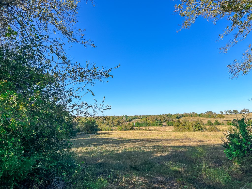 Tract #1 Tract Anderson, TX 77830 - Photo 1 of 16 a view of an ocean