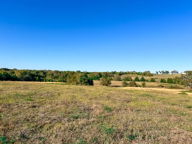 a view of an ocean beach