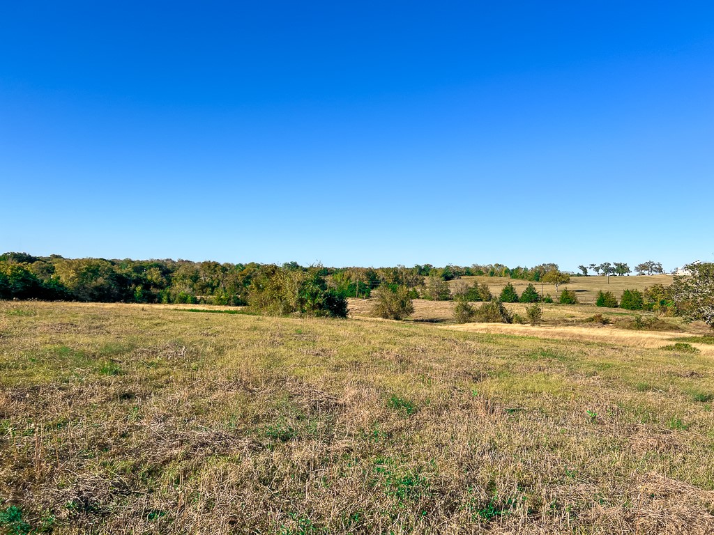 Tract #1 Tract Anderson, TX 77830 - Photo 11 of 16 a view of an ocean beach