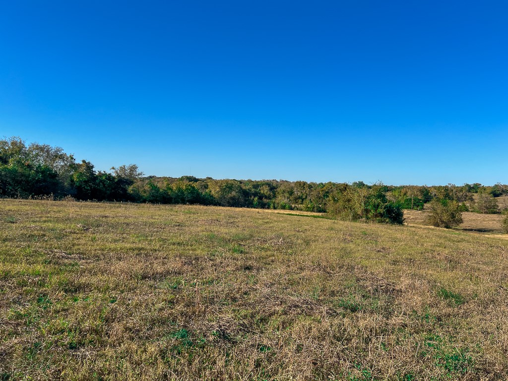 Tract #1 Tract Anderson, TX 77830 - Photo 12 of 16 a view of lake