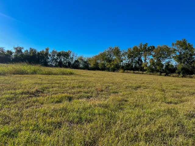 a view of a field with an ocean