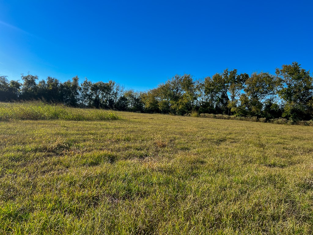 Tract #1 Tract Anderson, TX 77830 - Photo 2 of 16 a view of a field with an ocean