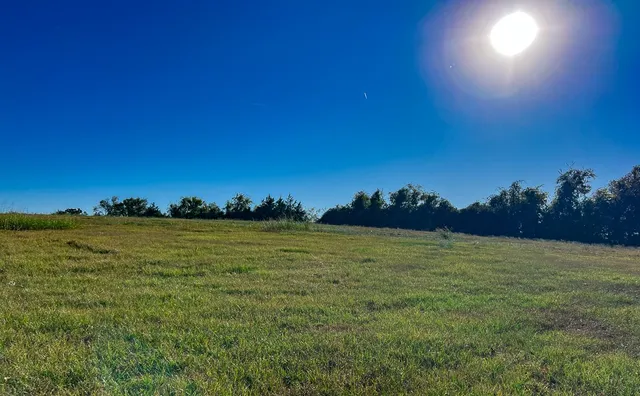 a view of an ocean from a yard