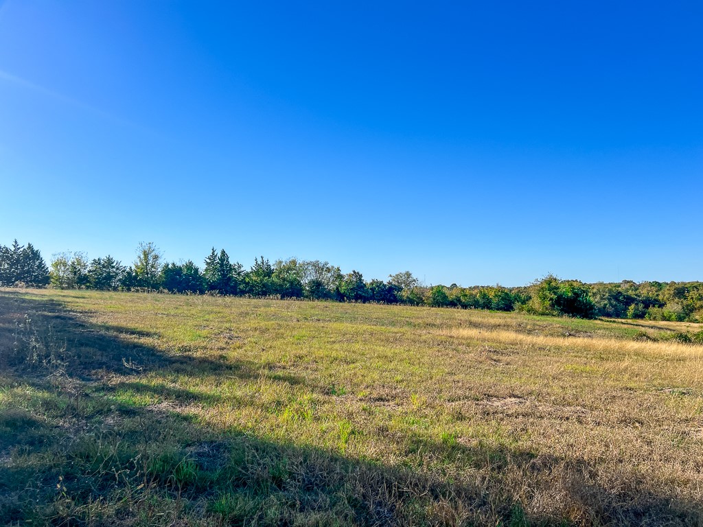 Tract #1 Tract Anderson, TX 77830 - Photo 4 of 16 a view of an ocean and beach