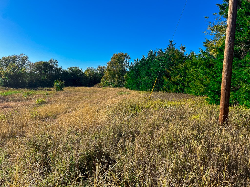 Tract #1 Tract Anderson, TX 77830 - Photo 5 of 16 a view of an outdoor space with a lake view