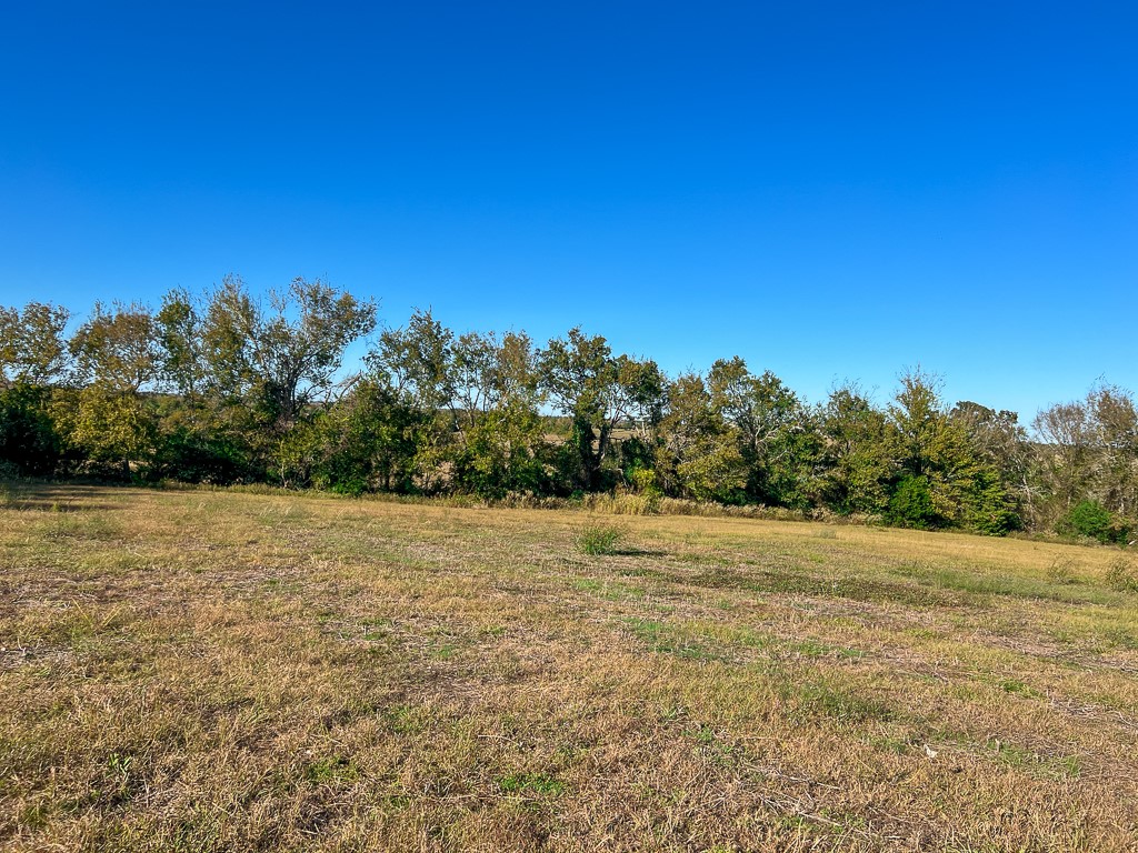 Tract #1 Tract Anderson, TX 77830 - Photo 6 of 16 a view of beach and ocean