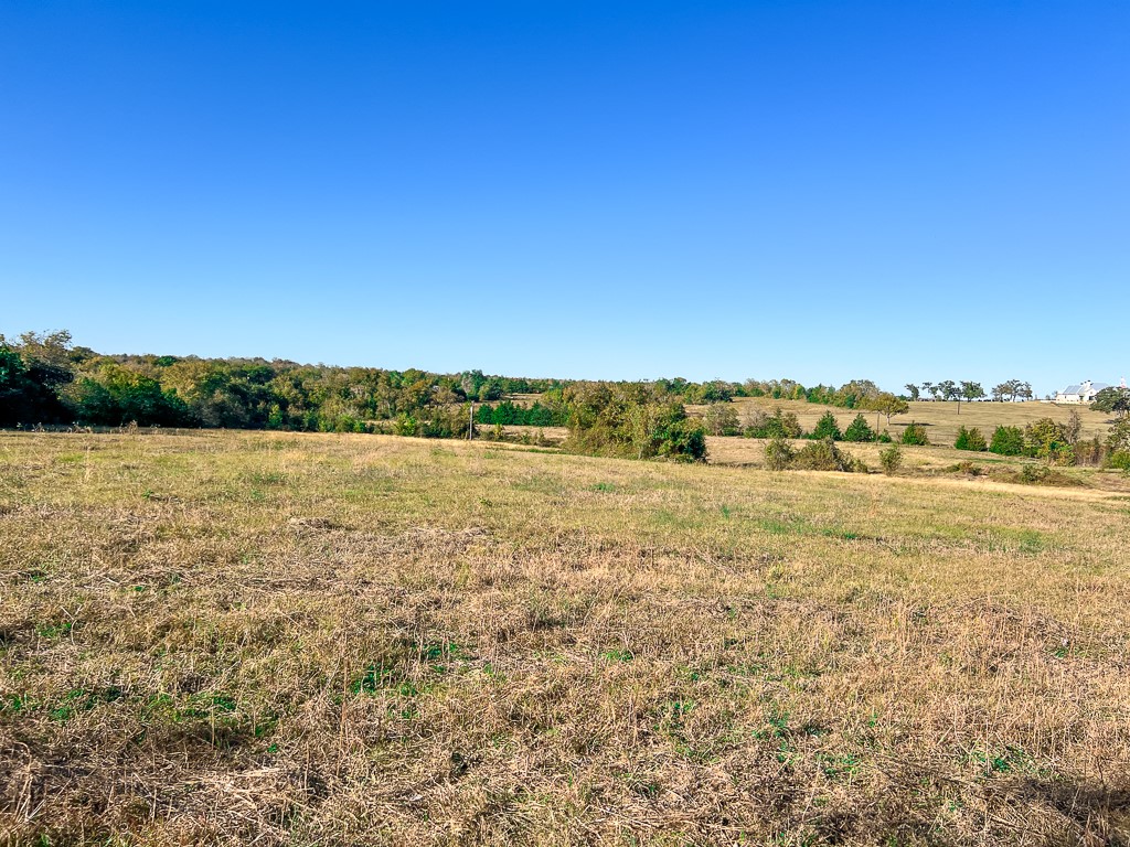 Tract #1 Tract Anderson, TX 77830 - Photo 8 of 16 a view of lake with green space