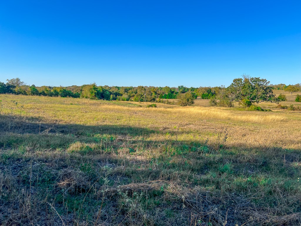 Tract #1 Tract Anderson, TX 77830 - Photo 10 of 16 a view of an ocean and beach