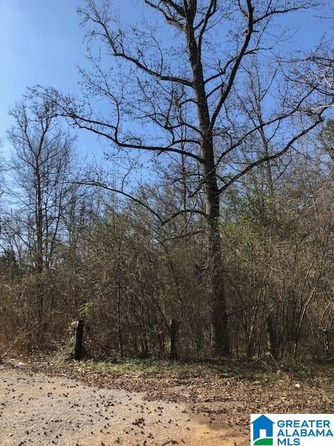 0 Blackjack Road, Unit 24 Trussville, AL 35173 - Photo 9 of 21