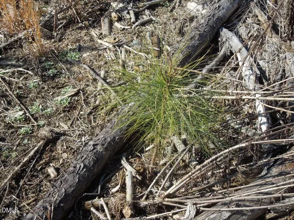 $122,500 | 1059 Ridgeway-Warrenton Road, Norlina, NC 27563