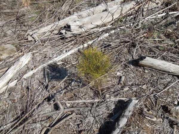 $122,500 | 1059 Ridgeway-Warrenton Road, Norlina, NC 27563