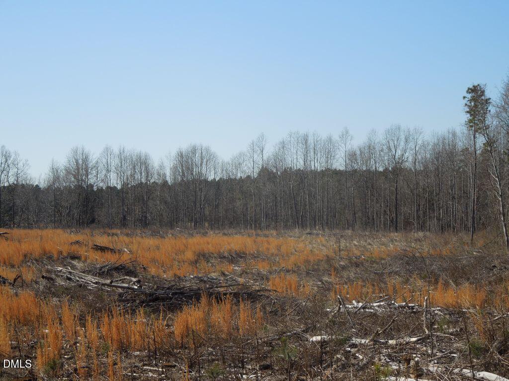1059 Ridgeway-Warrenton Road Norlina, NC 27563 - Photo 10 of 15 DSCN0459
