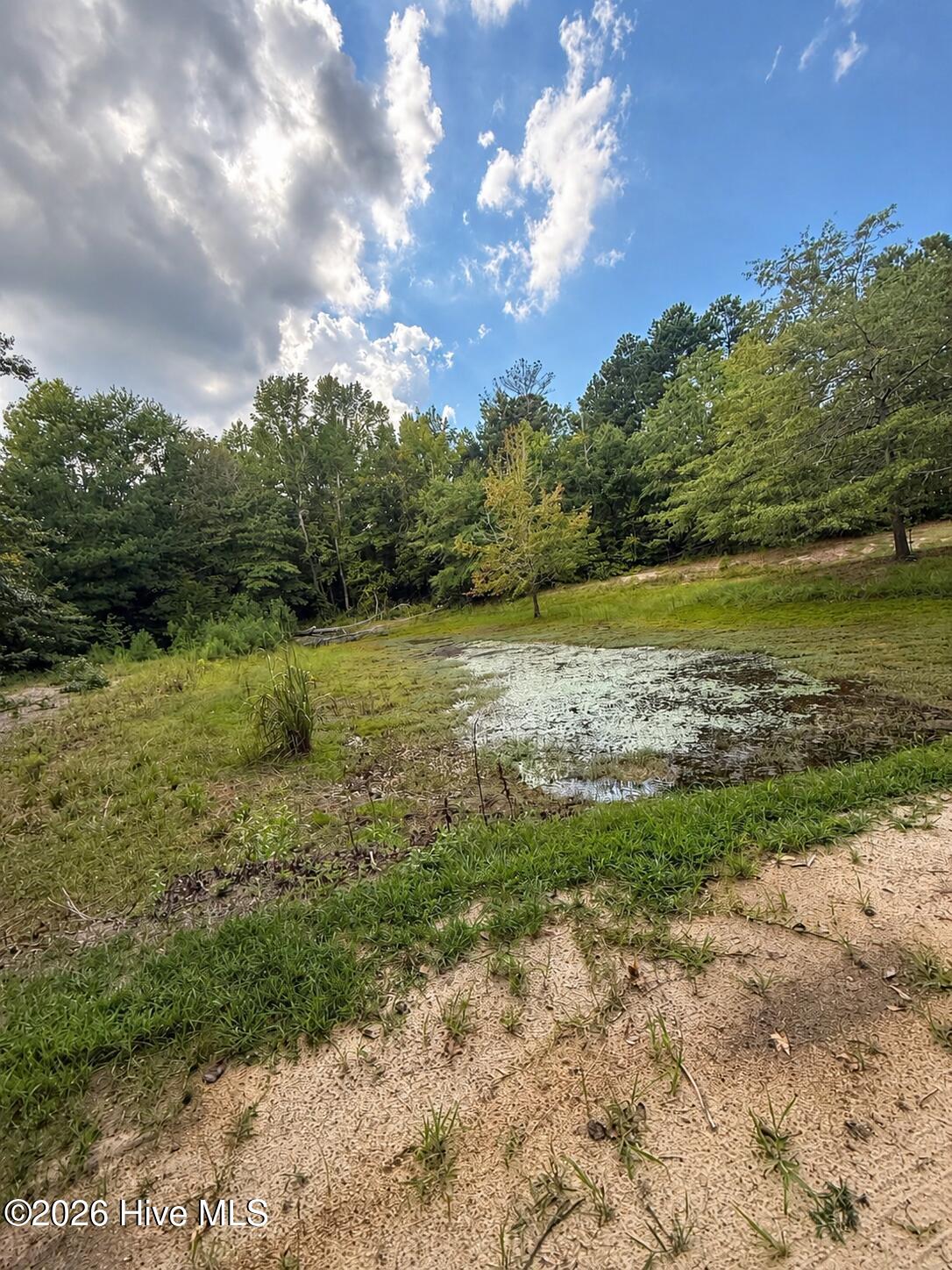 2171 Gene Howard Road Stapleton, GA 30823 - Photo 35 of 63 Gallery Image 35