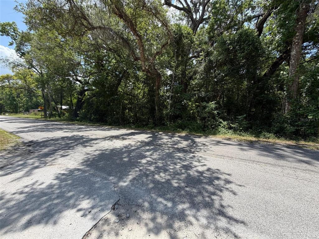 0 C R 656 Webster, FL 33597 - Photo 5 of 5