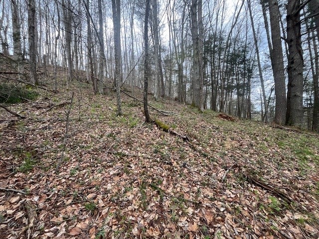 15.01-ac Pine Run Road, Unit 115110A Draper, VA 24324 - Photo 31 of 57 Gallery Image 31