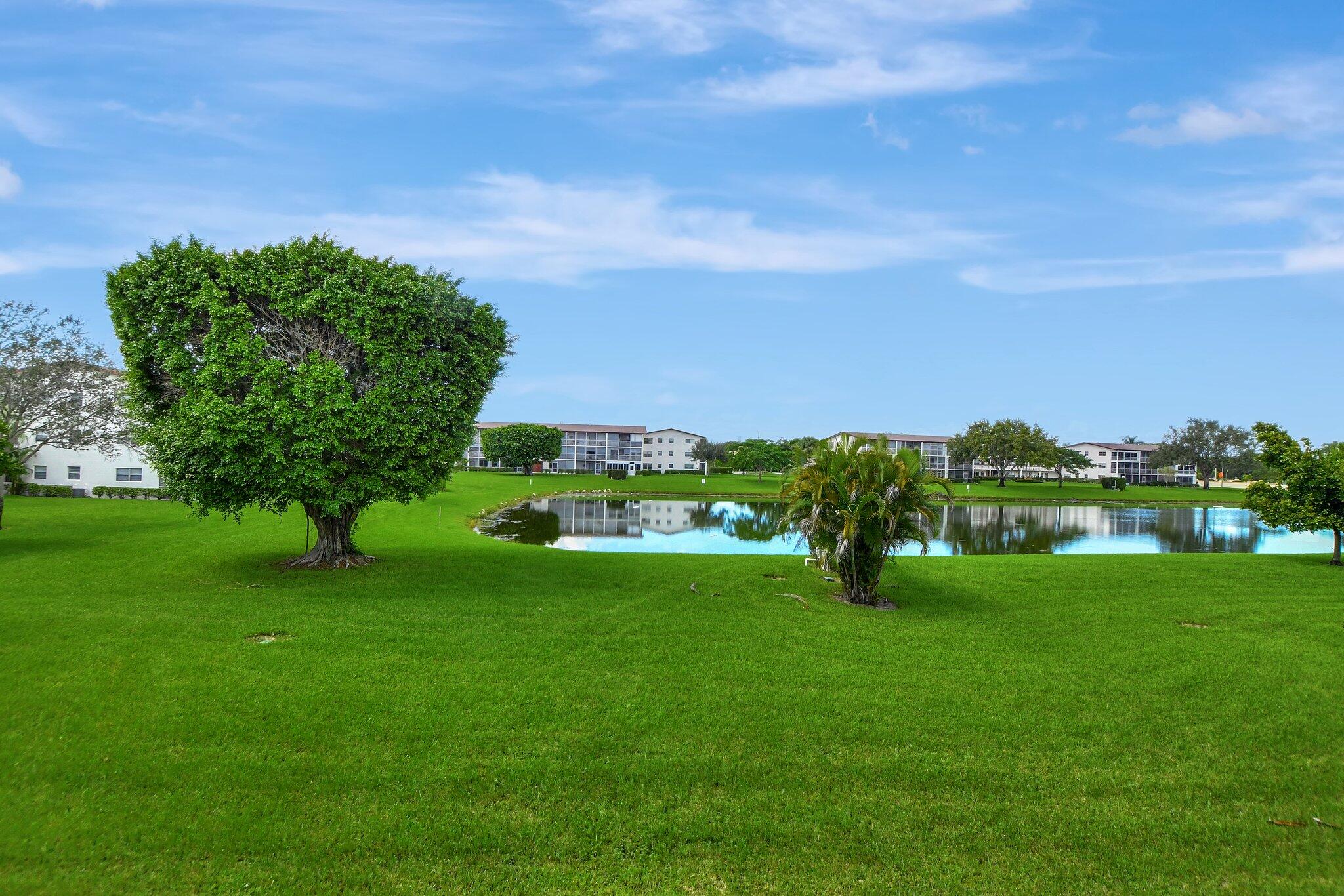 147 Brighton D, Unit D Boca Raton, FL 33434 - Photo 2 of 50 a view of a garden with a building in the background