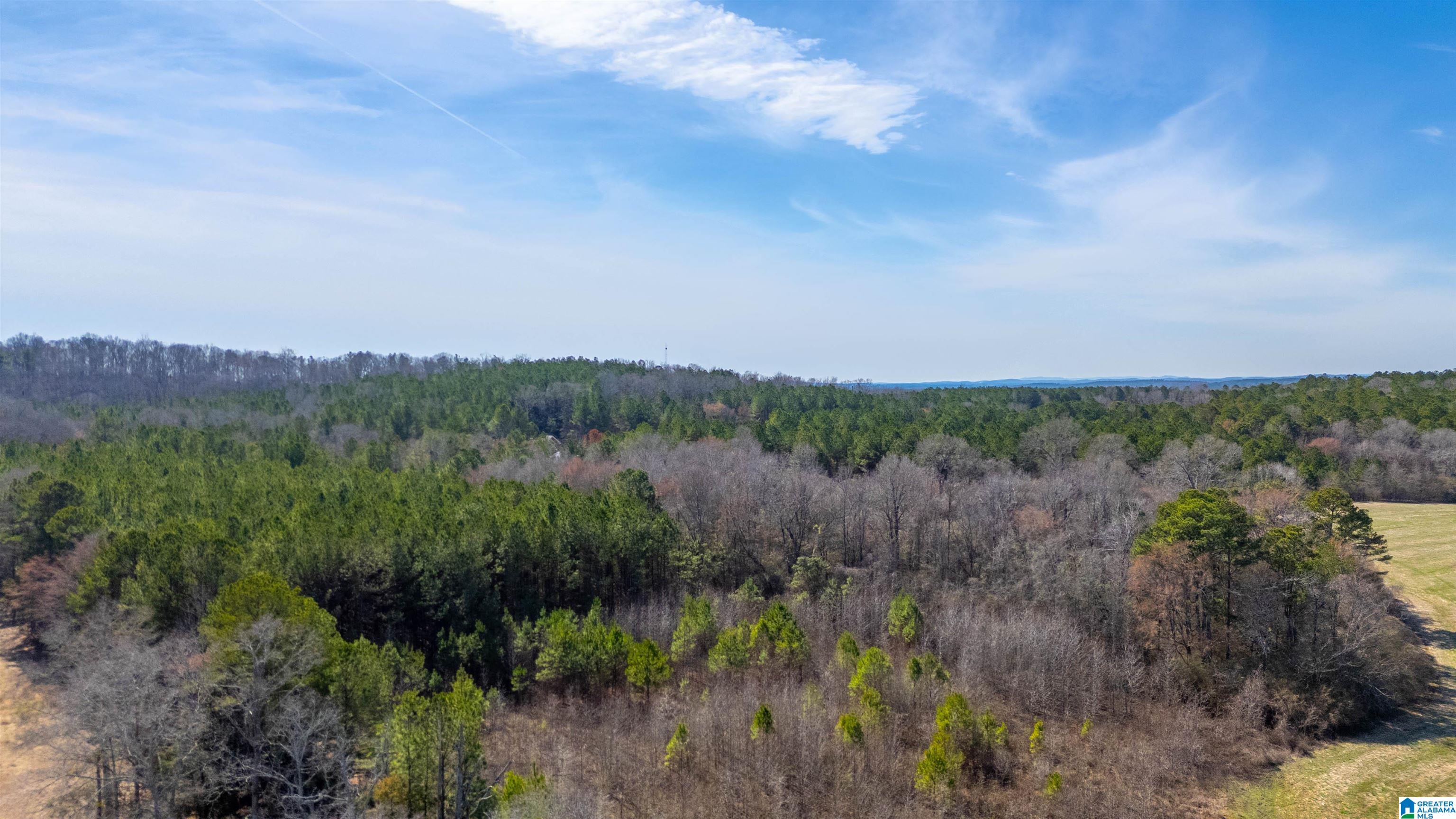 0 Brooks Lake Road, Unit 1 Lincoln, AL 35096 - Photo 4 of 10