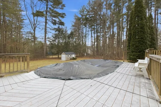 a view of a backyard