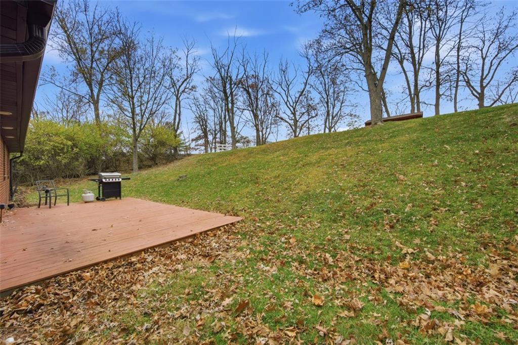 2725 Locust Drive Pittsburgh, PA 15241 - Photo 32 of 40 a view of a yard with palm trees