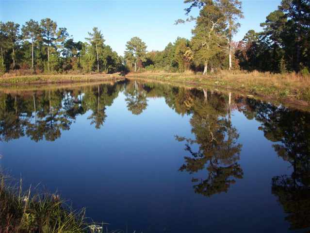 Lot 60 Chisholm Road Myrtle Beach, SC 29579 - Photo 3 of 7 Gallery Image 3