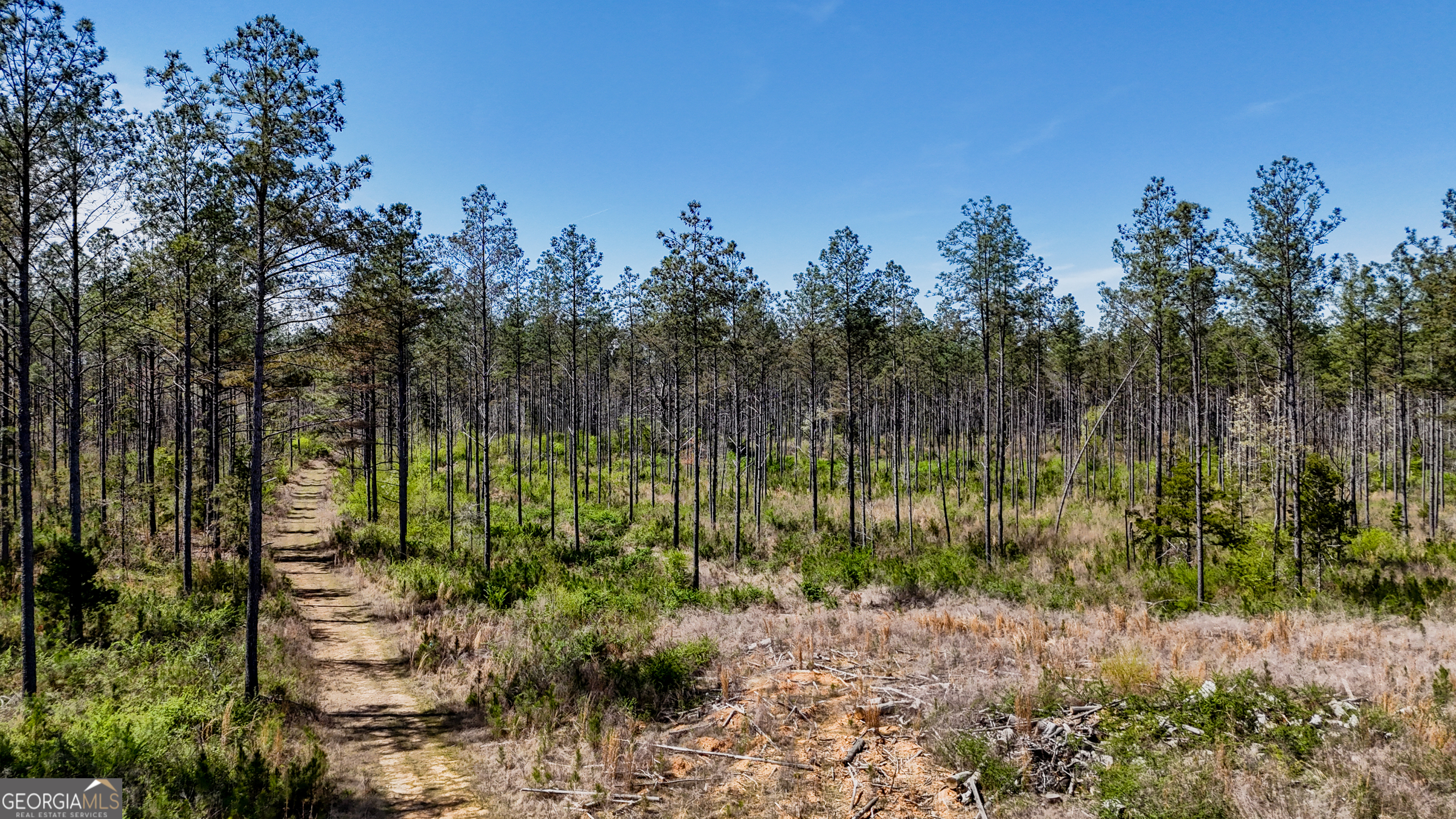 403-acres Youngs Farm Road Cedartown, GA 30125 - Photo 2 of 14