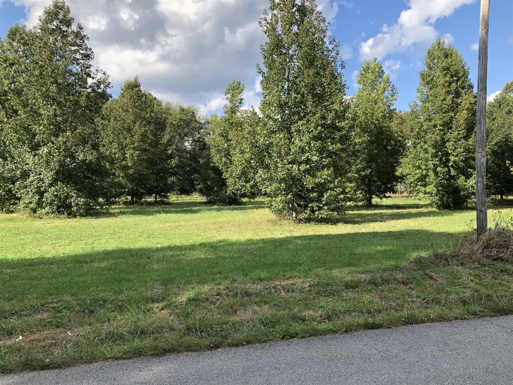 0 Nelson Road Dickson, TN 37055 - Photo 2 of 6 a view of yard with green space