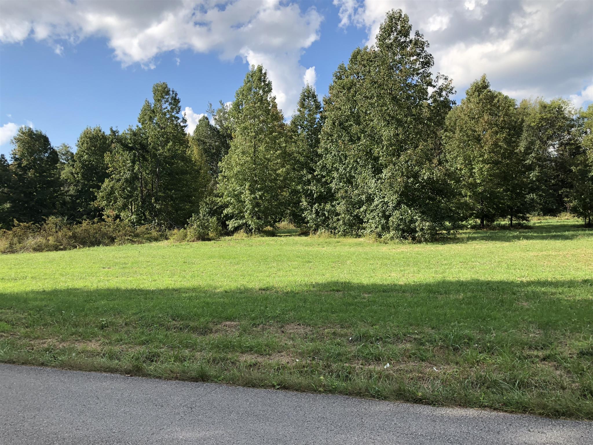 0 Nelson Road Dickson, TN 37055 - Photo 3 of 6 a view of yard with green space