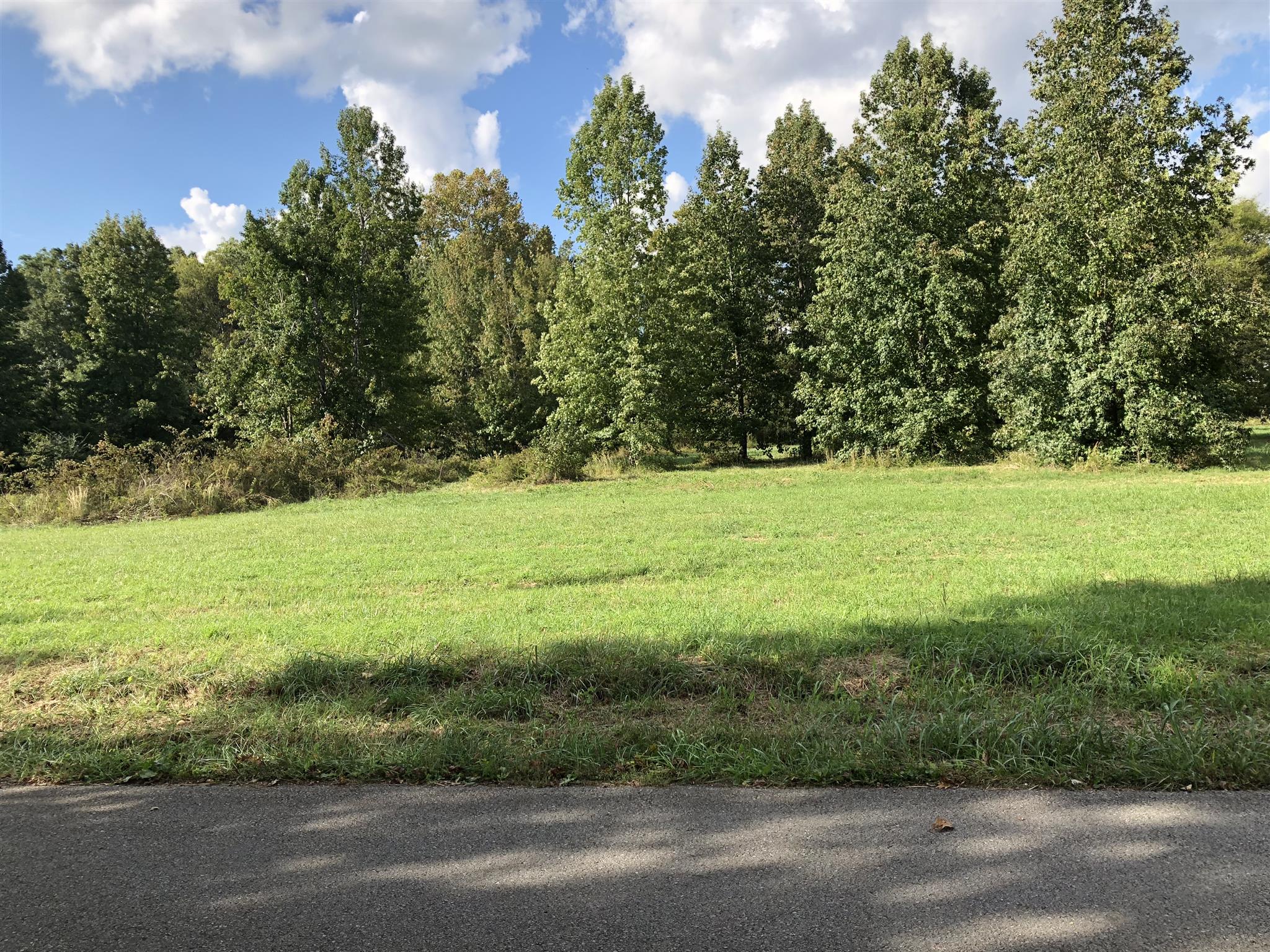 0 Nelson Road Dickson, TN 37055 - Photo 5 of 6 a view of a field with an trees