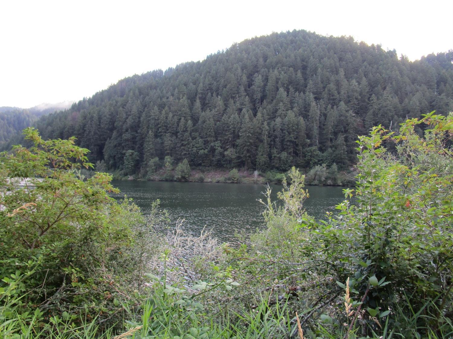 0 State Highway Reedsport, OR 97467 - Photo 1 of 10 Primary Photo