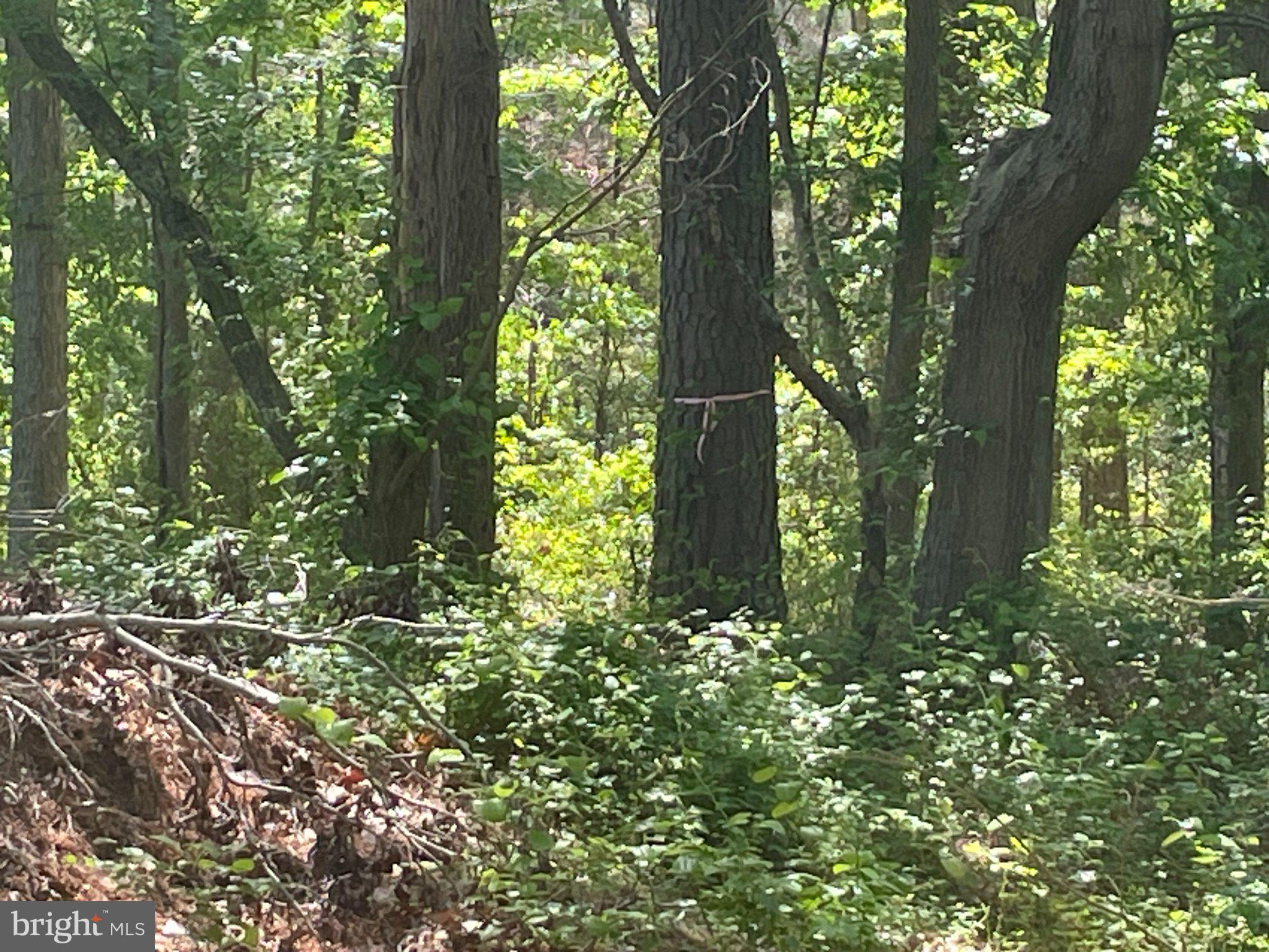 1113 Taylors Island Road Madison, MD 21648 - Photo 11 of 35
